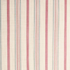 041--Classic Stripe Chintz.jpg